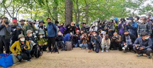 위양못에 비친 완재정과 이팝 꽃을 찍기 위해 모인 전국의 사진작가들이 위양못에서 기념촬영을 하고 있다.