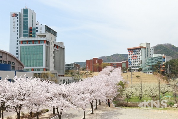 경일대학교 전경