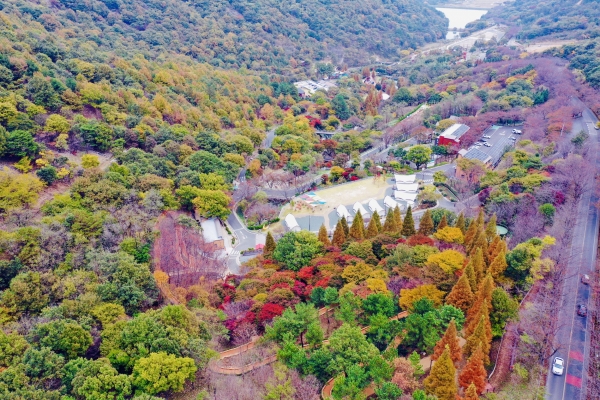 월아산 숲속의 진주가 특별 이벤트를 진행한다. 사진제공=진주시청.